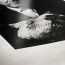 Фотопапір глянсовий у рулоні 12 м Hahnemuhle Photo Rag Baryta 315 г/м2 №178, 60