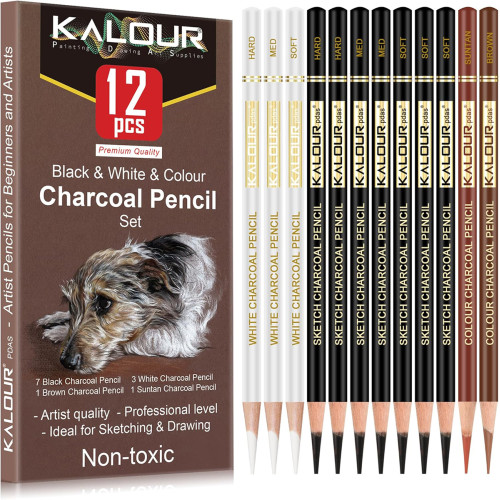 Набір професійних вугільних кольорових олівців KALOUR, 12 штук