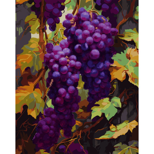 Картина по номерам с алмазной мозаикой SANTI Гроздь винограда, 40x50 см