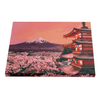 Картина по номерам Riviera Blanca Фудзи 40x50 см (RB-0037)