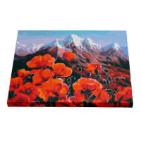 Картина по номерам Riviera Blanca Горные маки 40x50 см (RB-0039)