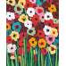 Картина по номерам Riviera Blanca Цвет 40x50 см (RB-0364)