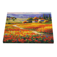 Картина за номерами Riviera Blanca Макі Провансу 40x50 см (RB-0459)