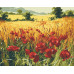 Картина за номерами Riviera Blanca Поле 40x50 см (RB-0464)
