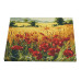 Картина за номерами Riviera Blanca Поле 40x50 см (RB-0464)