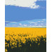 Картина за номерами Riviera Blanca Синьо-жовте поле 40x50 см (RB-0462)