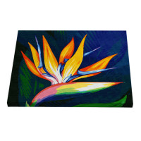 Картина за номерами Riviera Blanca Райська пташка 40x50 см (RB-0534)