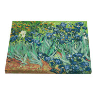 Картина за номерами Riviera Blanca Іриси Ван Гог 40x50 см (RB-0386)