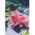Картина по номерам Riviera Blanca Лотос 28x40 см (RB-0116)