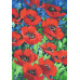 Картина за номерами Riviera Blanca Червоні маки 28x40 см (RB-0117)