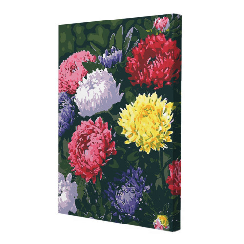 Картина за номерами Riviera Blanca Райдужні айстри 28x40 см (RB-0156)