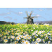 Картина за номерами Riviera Blanca Ромашкове поле 28x40 см (RB-0160)