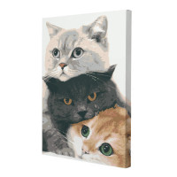 Картина по номерам Riviera Blanca Муркотуны 28x40 см (RB-0172)