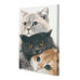 Картина за номерами Riviera Blanca Муркотуни 28x40 см (RB-0172)