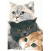 Картина за номерами Riviera Blanca Муркотуни 28x40 см (RB-0172)