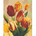 Картина по номерам Riviera Blanca Солнечные тюльпаны 40x50 см (RB-0541)