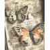Картина по номерам Riviera Blanca Бумажные бабочки 40x50 см (RB-0727)