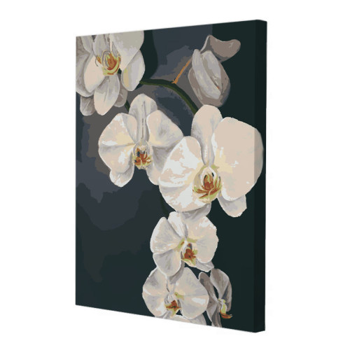 Картина по номерам Riviera Blanca Орхидеи 40x50 см (RB-0778)