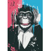 Набор картин по номерам Три обезьяны (ITR-033) 3 шт в наборе