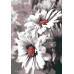 Картина за номерами Riviera Blanca Романтика 28x40 см (RB-0620)