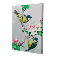 Картина по номерам Riviera Blanca На яблоне 40x50 см (RB-0005)