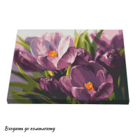 Картина за номерами Riviera Blanca Яскраві крокуси 40x50 см (RB-0907) Картина за номерами Riviera Blanca Яскраві крокуси 40x50 см (RB-0907)