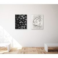 Комплект постеров, холст на подрамнике Георгины (PS-119) 40x50 см - 1 шт, 40x40 см - 1 шт в наборе