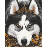Картина по номерам Опечаленный хаски 11509-AC, 40х50 см Картина по номерам Опечаленный хаски 11509-AC, 40х50 см
