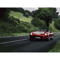 Картина за номерами Насолоджуйся швидкістю 10520-AC, 40х50 см