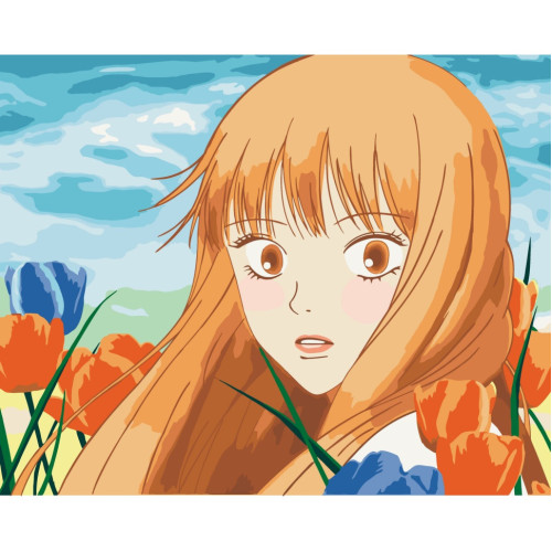 Картина по номерам без подрамника Kimi ni Todoke 16066-ACNF 40х50 см