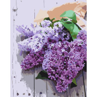 Картина за номерами Подих весни 13111-AC, 40х50 см