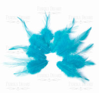 Набір пір'я з хвостиком Бірюзові