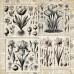 Колекція паперу для скрапбукінгу Spring botanical story 30.5 х 30.5 см, 10 аркушів