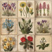 Набір паперу для скрапбукінгу Spring botanical story, 20 x 20 см 10 аркушів