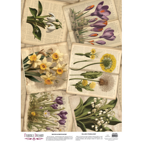 Деко веллум (аркуш кальки з малюнком) Spring Botanical Story Весняне цвітіння, А3 (29,7х42 см)