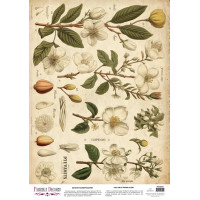 Деко веллум (лист кальки с рисунком) Spring Botanical Story Магнолии, А3 (29,7х42 см)
