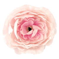 Декоративна квітка півонії maxi Ніжно-рожевий, 1шт