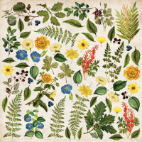 Аркуш з картинками для вирізання Summer Botanical story 30,5х30,5 см