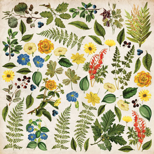 Аркуш з картинками для вирізання Summer Botanical story 30,5х30,5 см