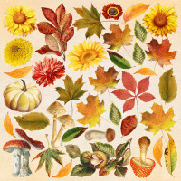 Аркуш з картинками для вирізання Bright Autumn 20х20 см