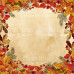 Лист двусторонней бумаги для скрапбукинга Botany autumn №9-03 30,5х30,5 см
