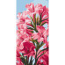 Картина за номерами Рожевий квіти Pink flowers 13100-AC, 40х80 см