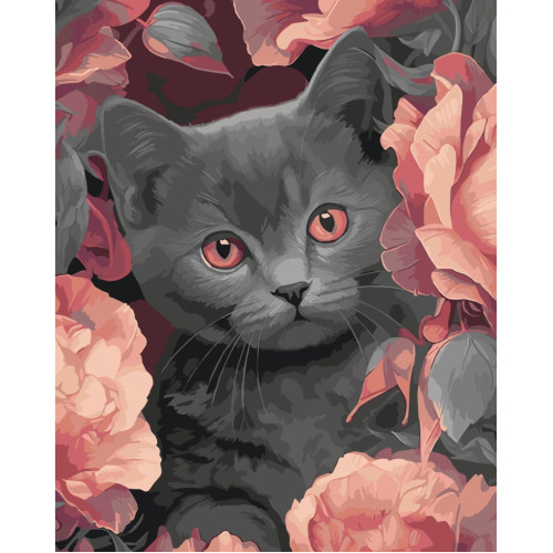 Картина за номерами Сірий котик 11563-AC, 40х50 см