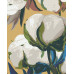 Картина за номерами Riviera Blanca Бавовняний колір 40x50 см (RB-1002)