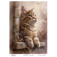 Декупажна картка №0573, 21x29,7 см