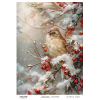 Декупажная карта №0641, 21x29,7 см