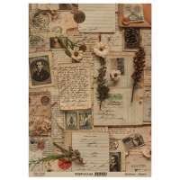 Лист крафт бумаги с рисунком Naturalist Notes №4, 42x29,7 см