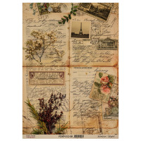 Аркуш крафт паперу з малюнком Naturalist Notes №8, 42x29,7 см