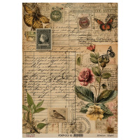 Аркуш крафт паперу з малюнком Naturalist Notes №10, 42x29,7 см