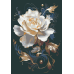 Картина по номерам Riviera Blanca Белый пион 28x40 см (RB-1048)